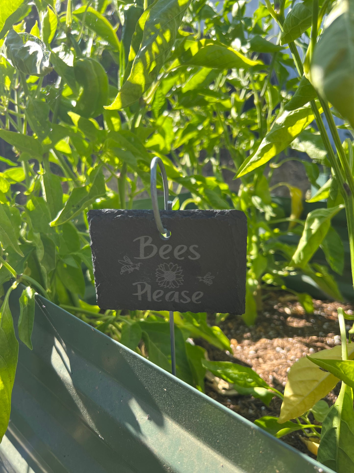Buzzing with Charm: Engraved Slate Plant Marker - Bees Please