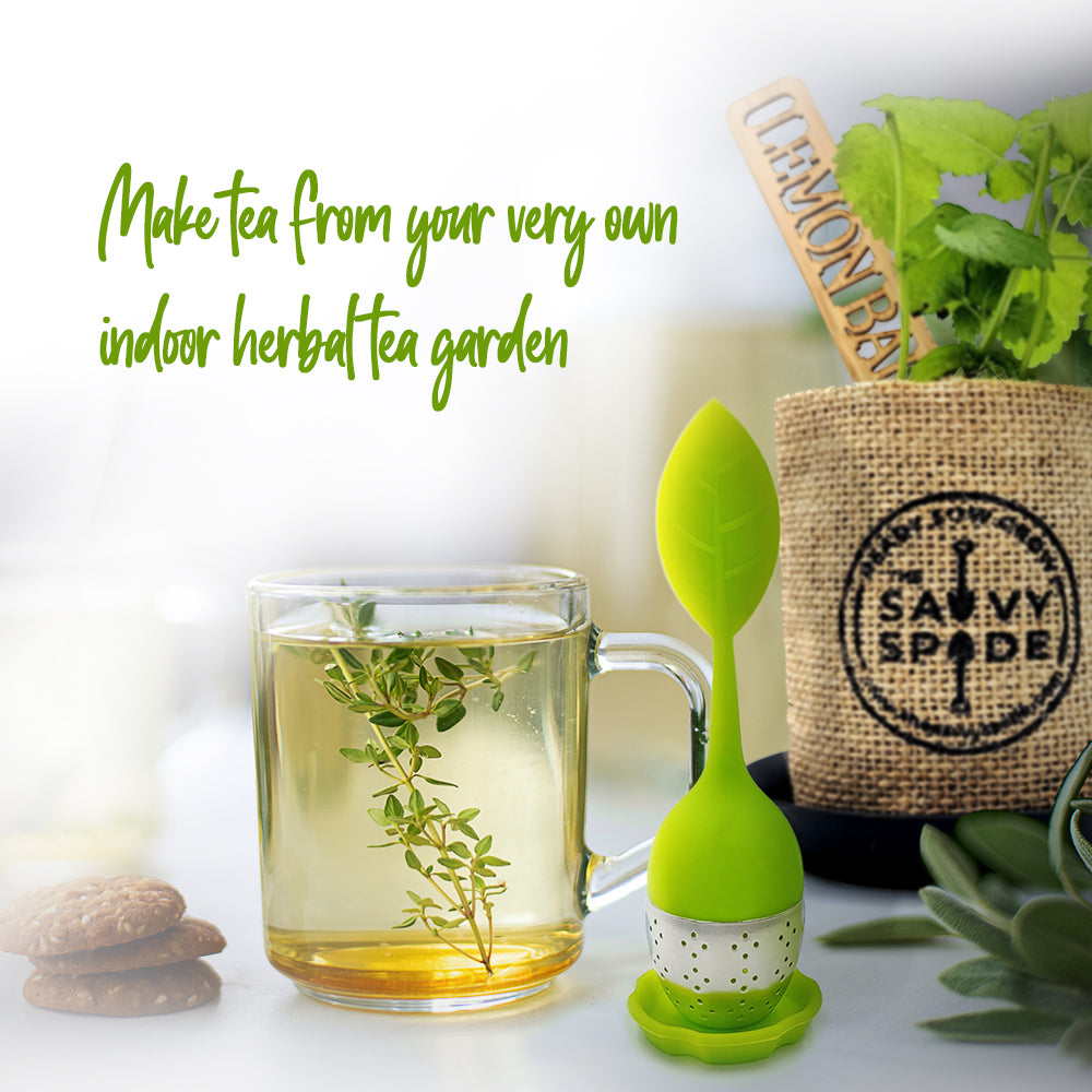 a cup of tea made from fresh herbs, a tea infuser and a burlap pot with a lemon balm plant growing in it.