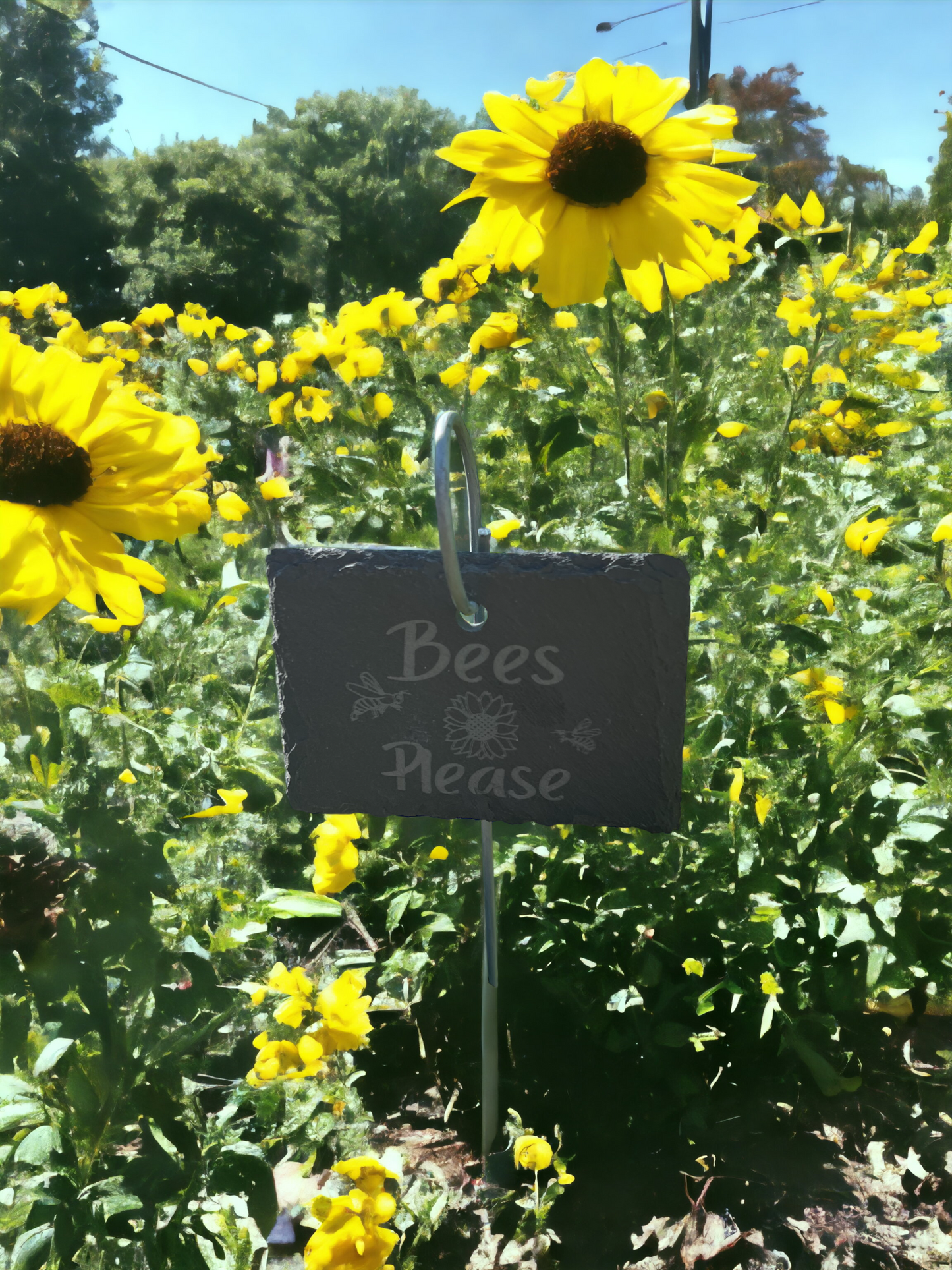 Buzzing with Charm: Engraved Slate Plant Marker - Bees Please