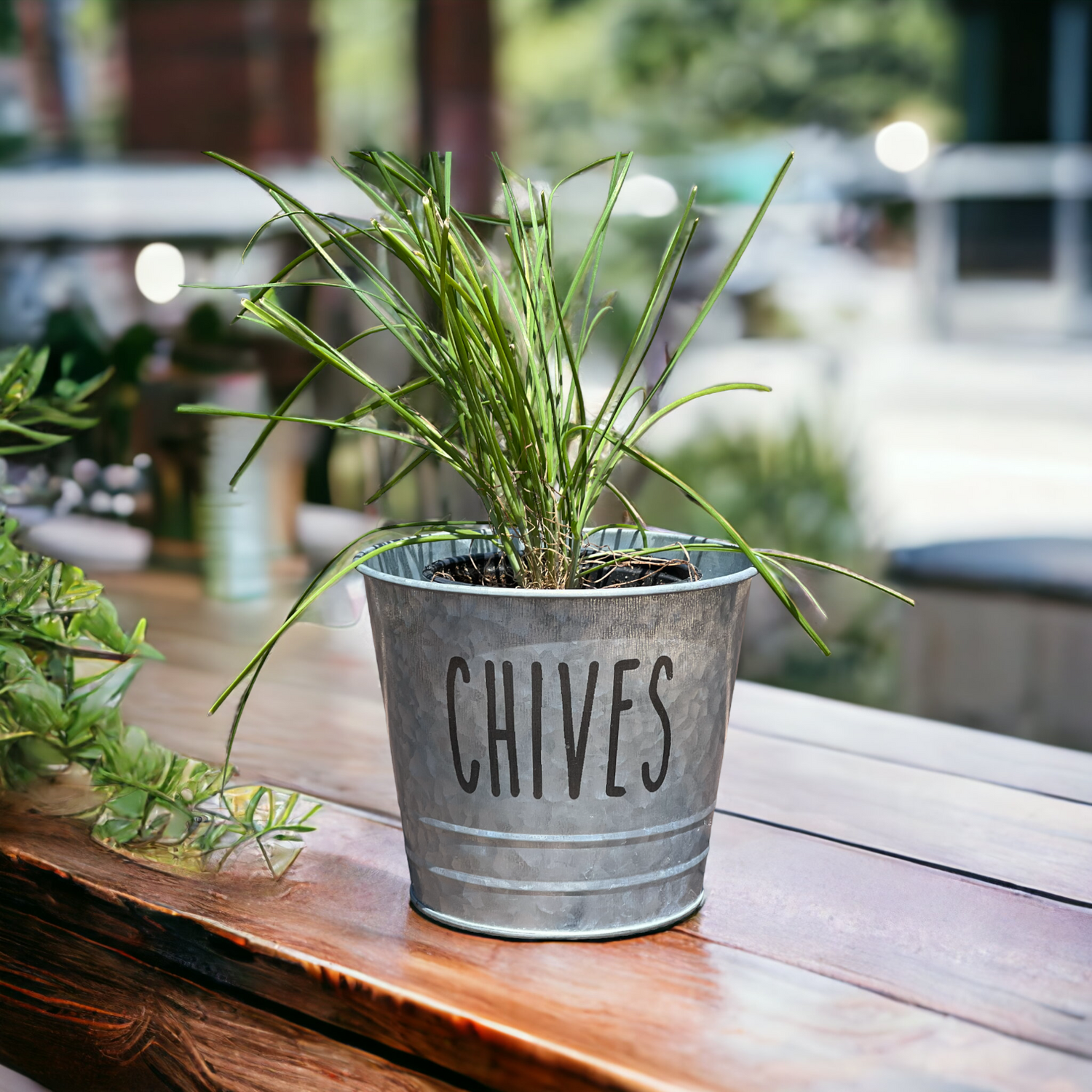 Farmhouse Herb Bucket Planter