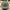 Buck Skull Richardson 112 Patch Trucker Hat
