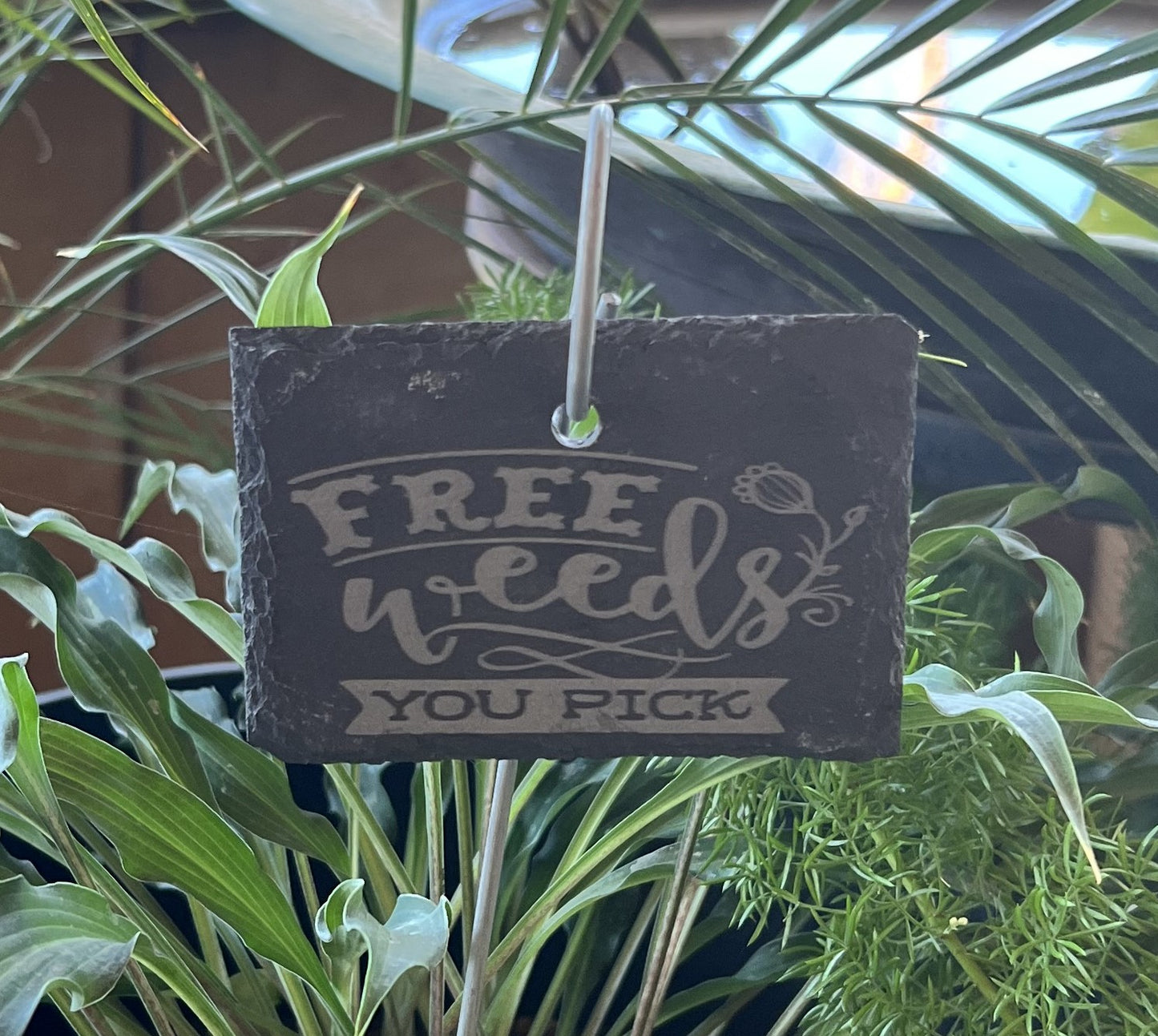 Free Weeds Funny Slate Plant Markers