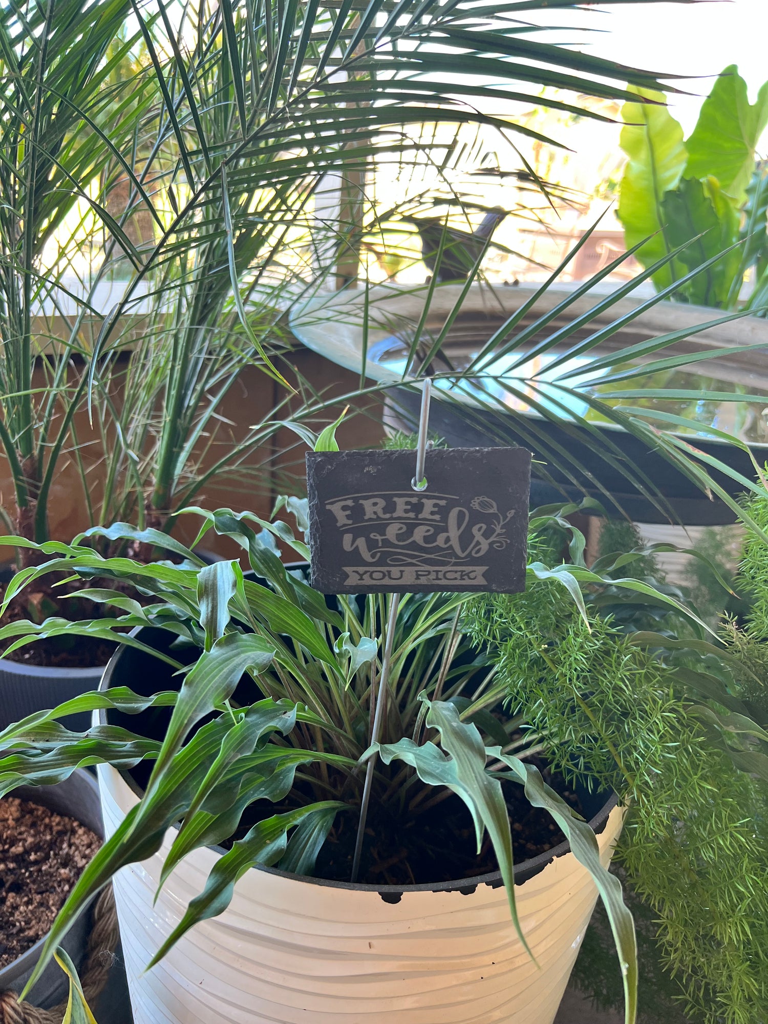 Free Weeds Funny Slate Plant Markers