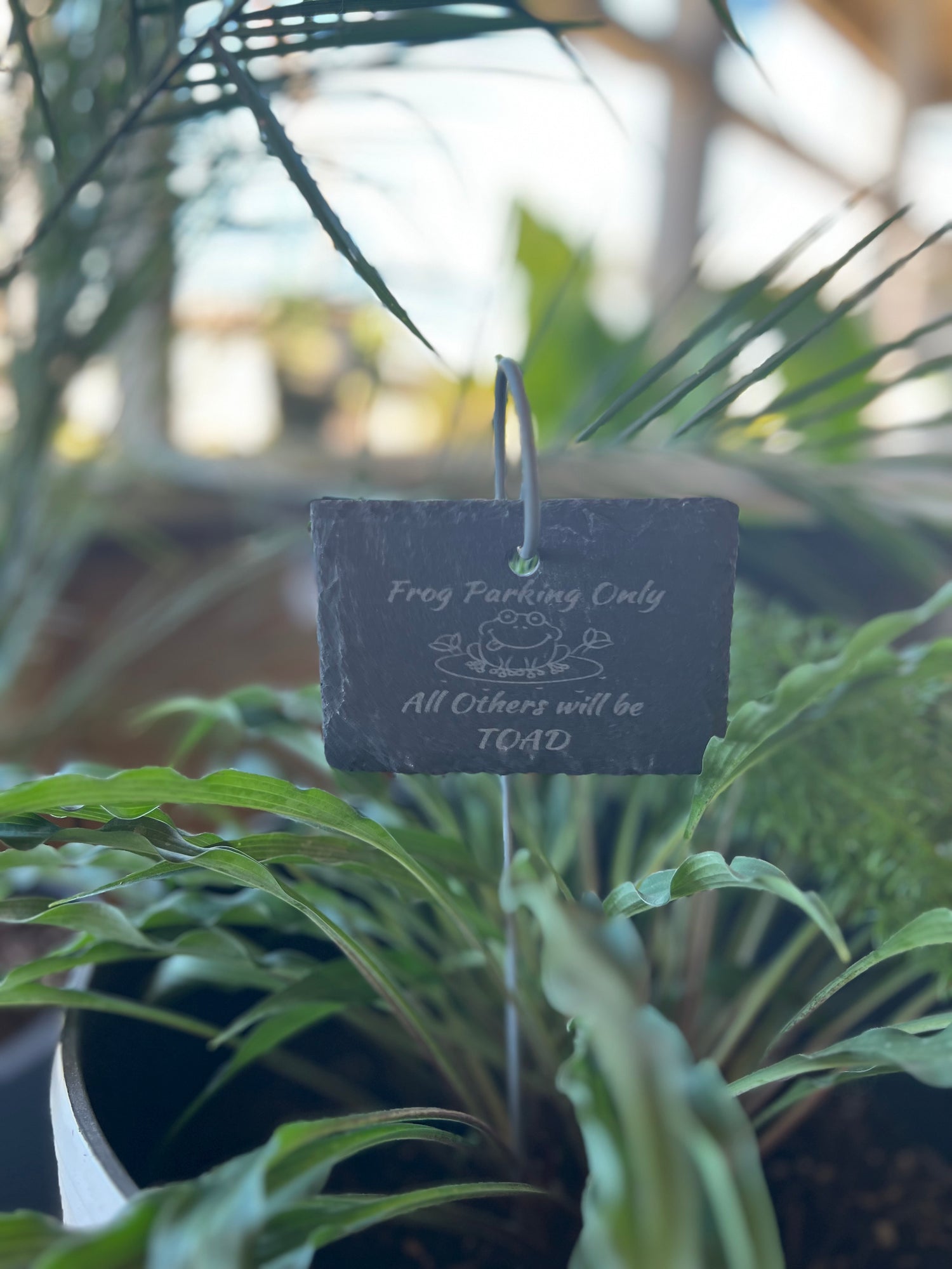 Frog Parking Funny Slate Plant Marker