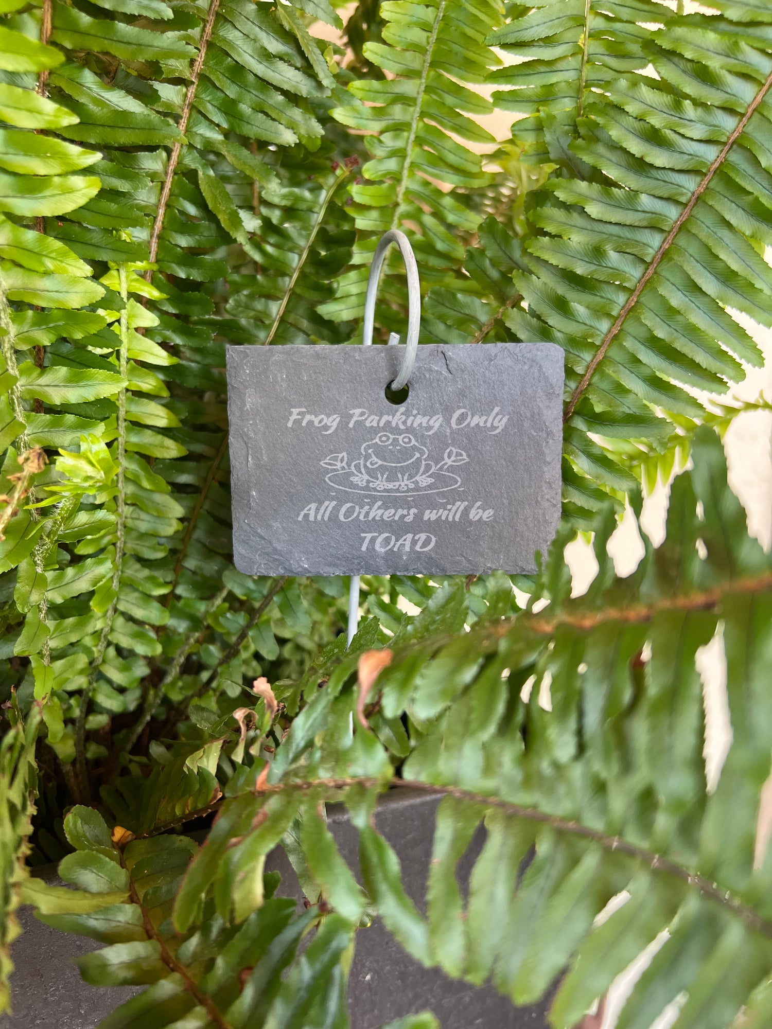 Frog Parking Funny Slate Plant Marker