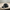 German Shorthair Pointer Flag
