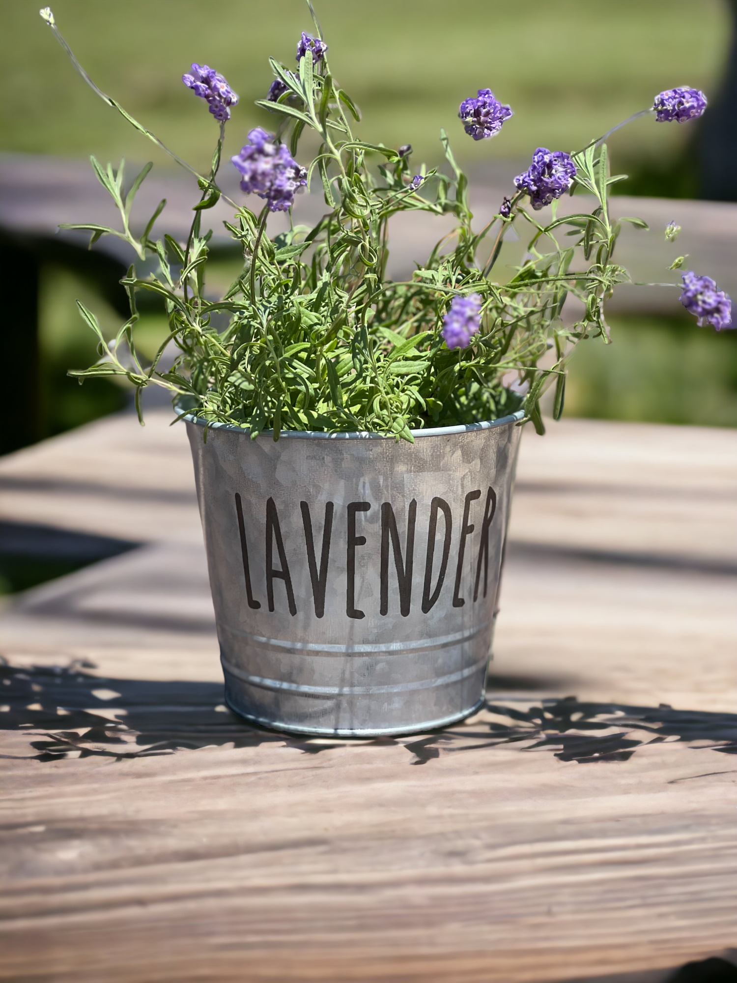 Farmhouse Herb Bucket Planter