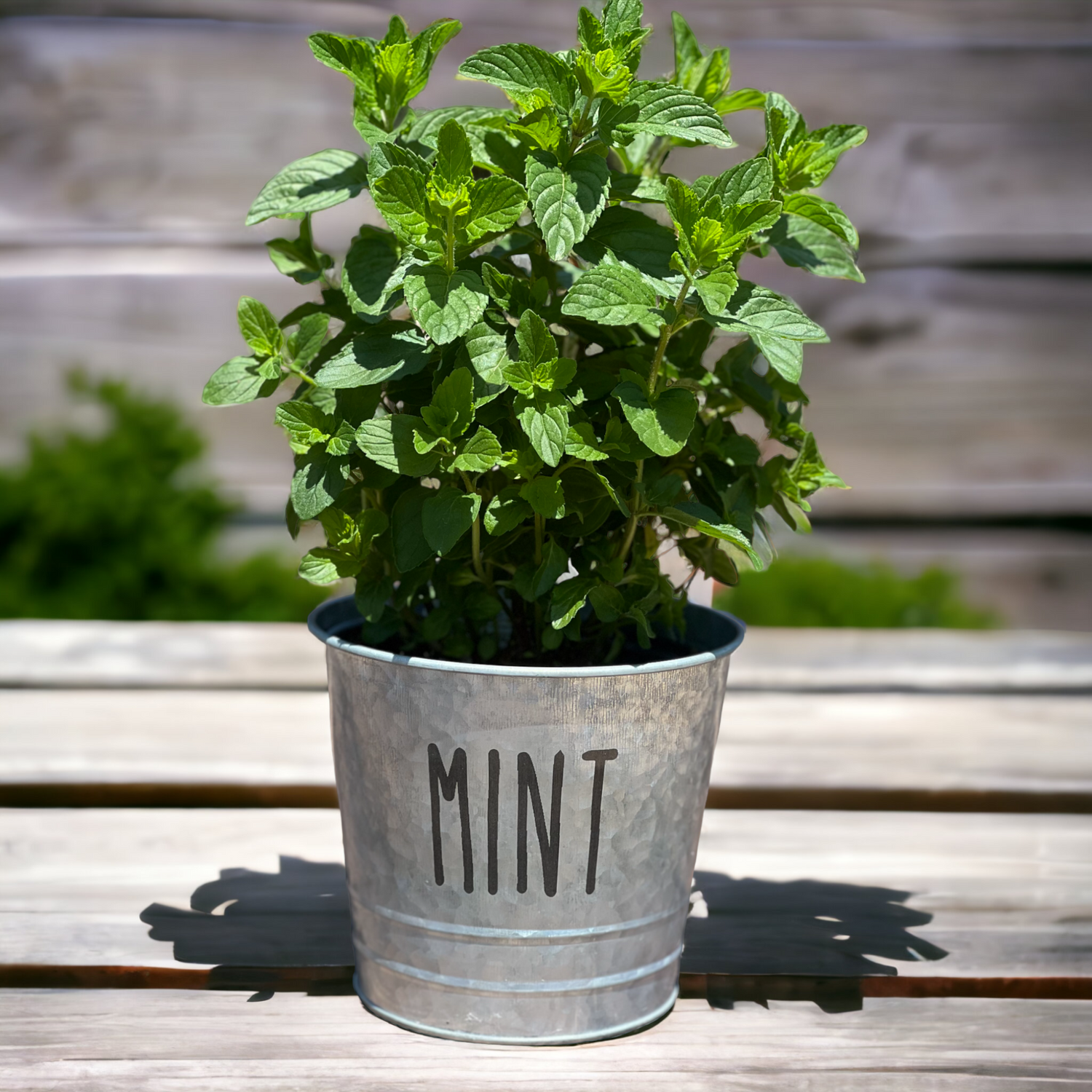 Farmhouse Herb Bucket Planter