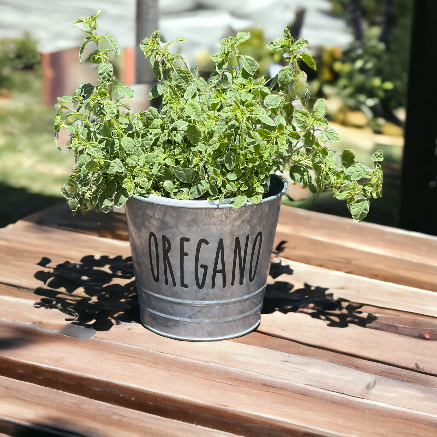 Farmhouse Herb Bucket Planter
