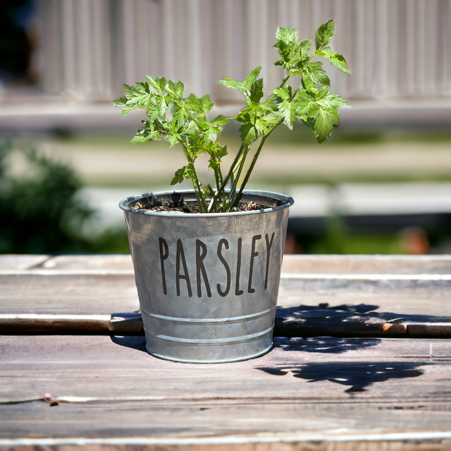 Farmhouse Herb Bucket Planter