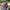 Baseball Dad Richardson 112 Classic Trucker Snapback